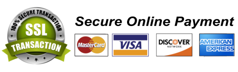 Secure payment logo